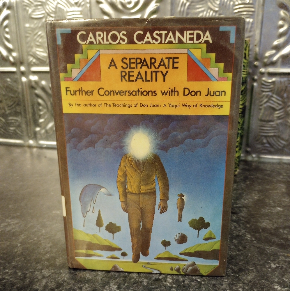 Carlos Castaneda A separate Reality First edition hardcover book Don Juan lesson